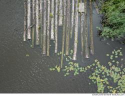 Photo Textures of Log Wood 